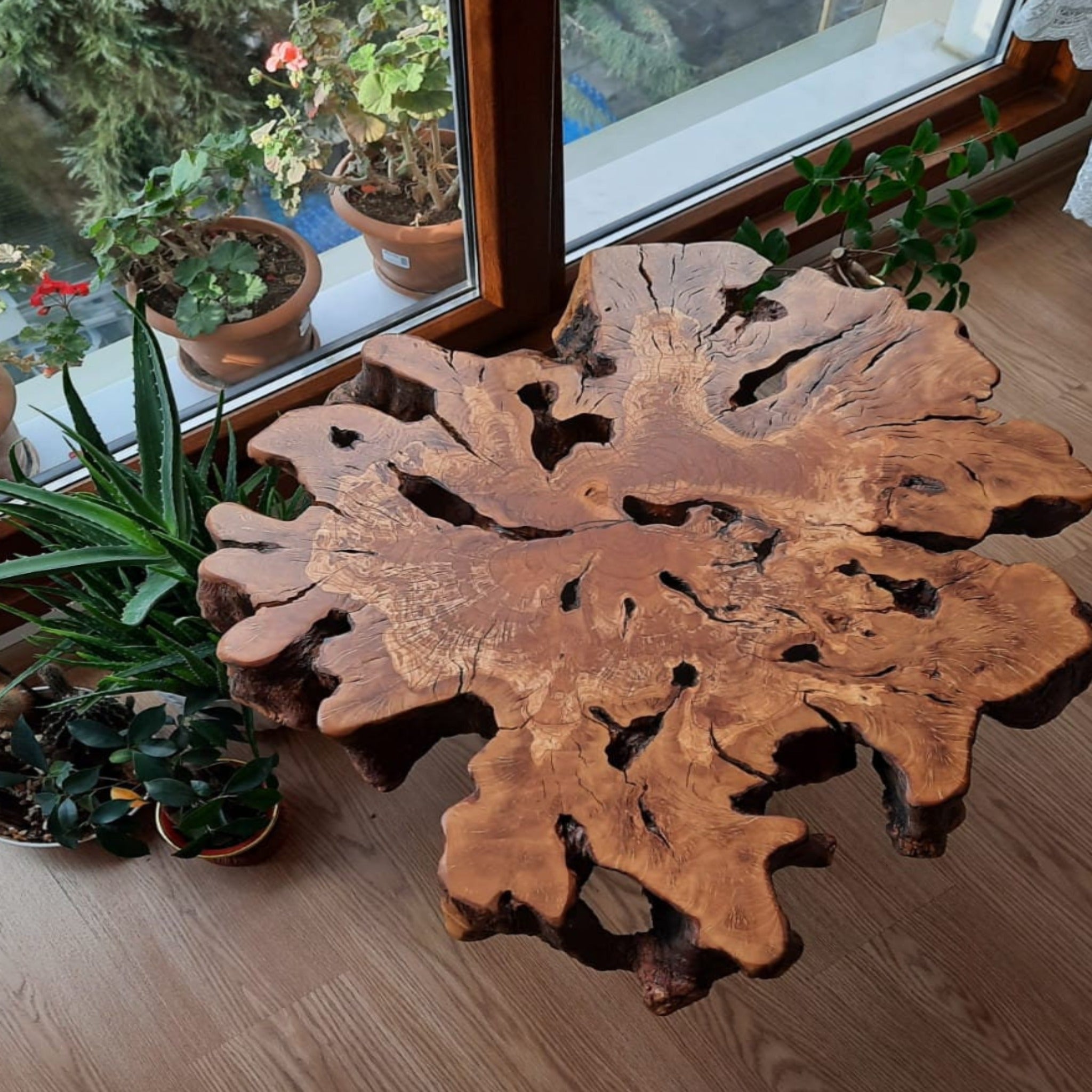 Custom Order 40” Burl Wood Coffee Table