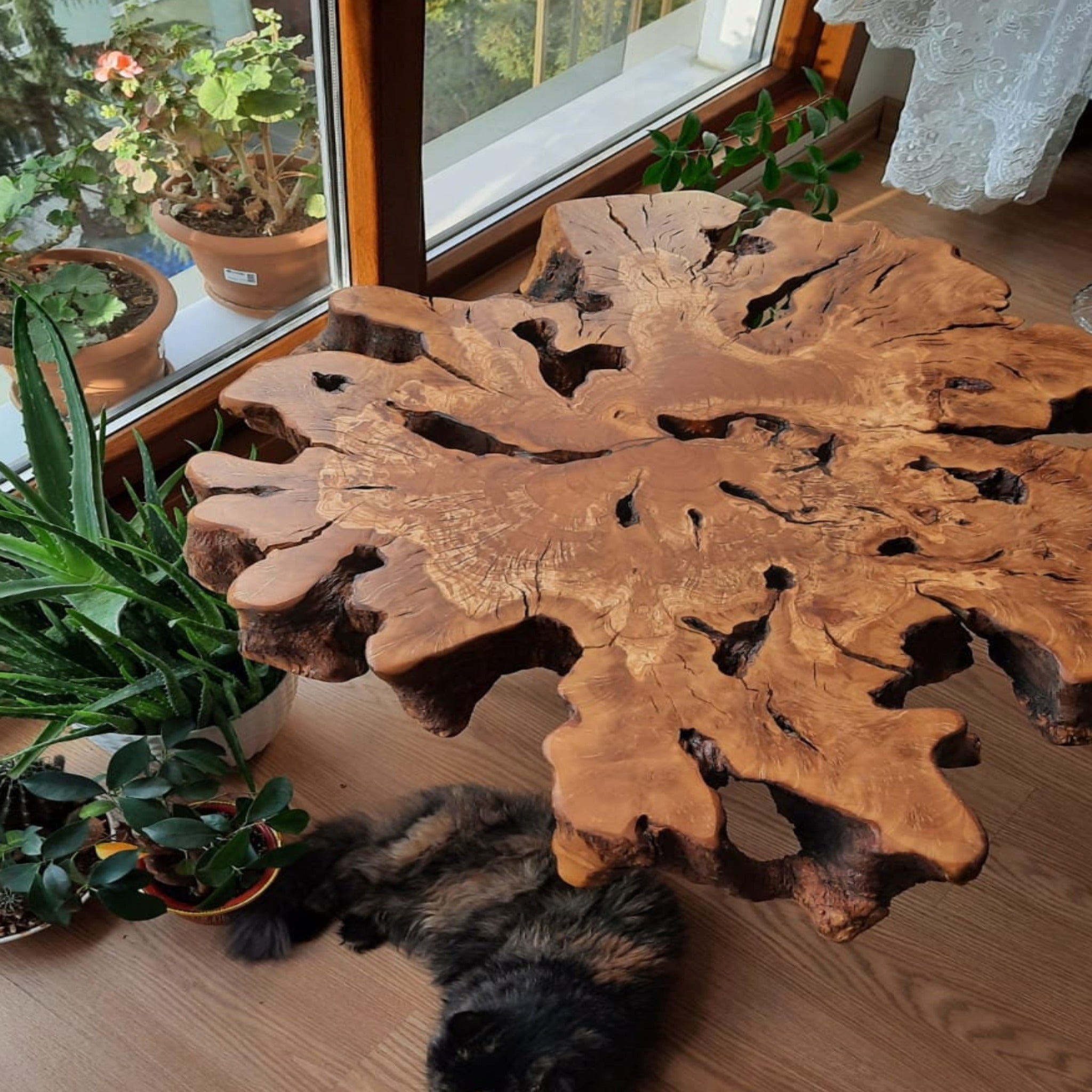 Custom Order 40” Burl Wood Coffee Table