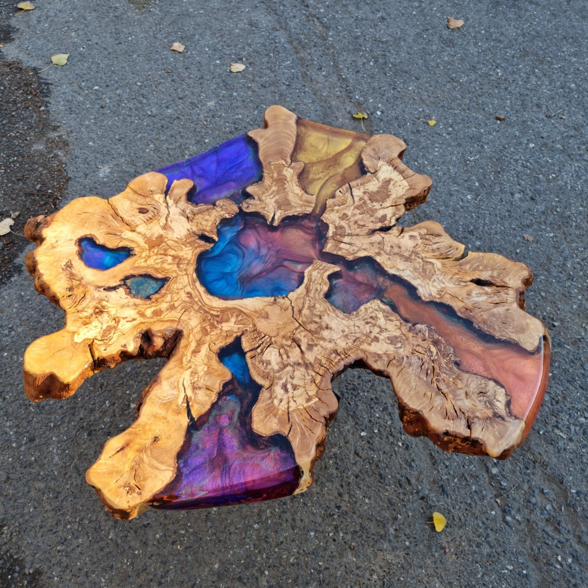 Live Edge Coffee Table with Epoxy Resin Olive Wood Burl Slab Round Custom Center and Side Table